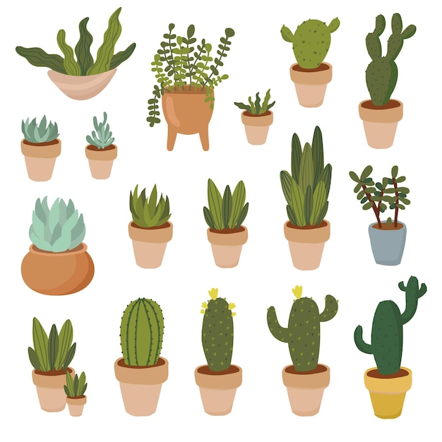 Piante da appartamento set di clipart disegnate a mano piante da interno in vaso succulente aloe vera cactus