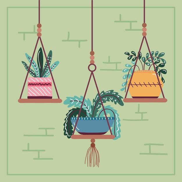 Vector house plants on pot in hanging decoration, scandinavian style