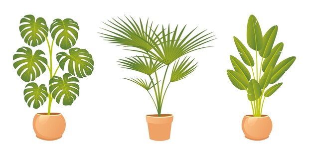 鉢植えの観葉植物イラストセット