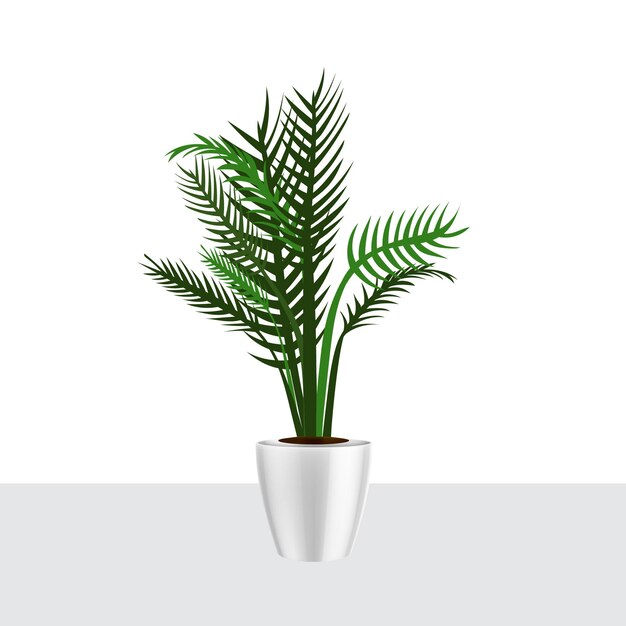 House plants realistic tree illustration