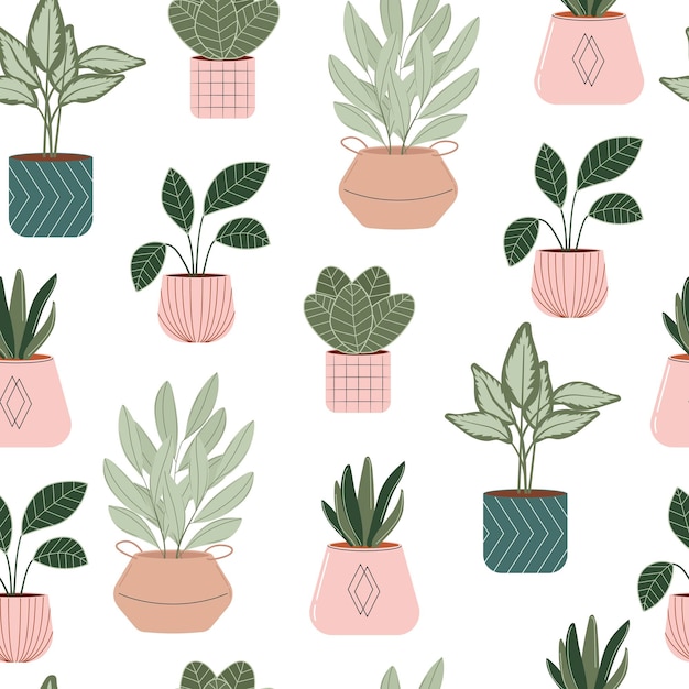 House plants seamless pattern Potted plants vector flat Illustration