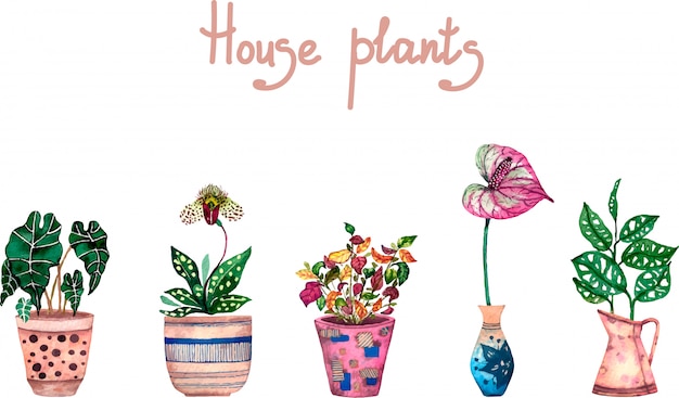 House plants watercolour set