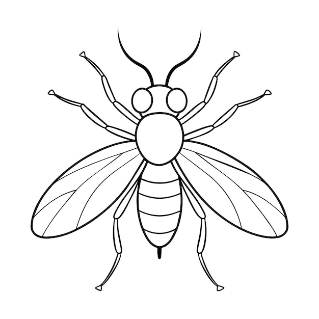 Pagina da colorare illustrazione di mosca domestica per bambini