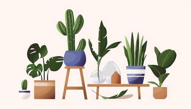 Household flowers in pots. beautiful illustration in scandinavian style. tropical leaves, vases, pots, flower stand. drawing in cartoon flat style