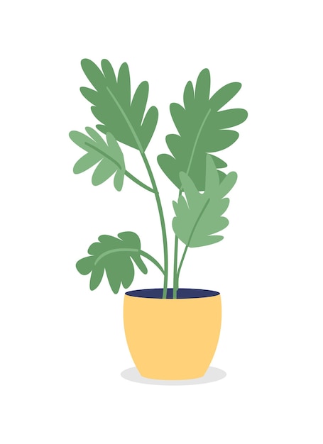 Houseplant for bedroom semi flat color vector object. Home gardening. Air cleaning. Growing plants indoor isolated modern cartoon style illustration for graphic design and animation