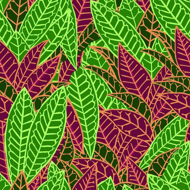 Houseplant codiaeum variegatum. Seamless background.