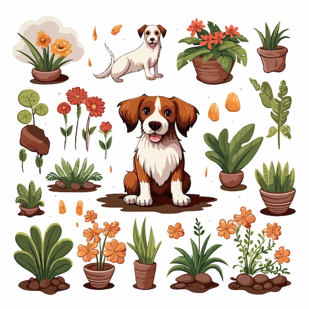 houseplant collection with dog