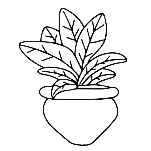 Houseplant in doodle style Hand drawn houseplant in pot isolated on white background Vector illust