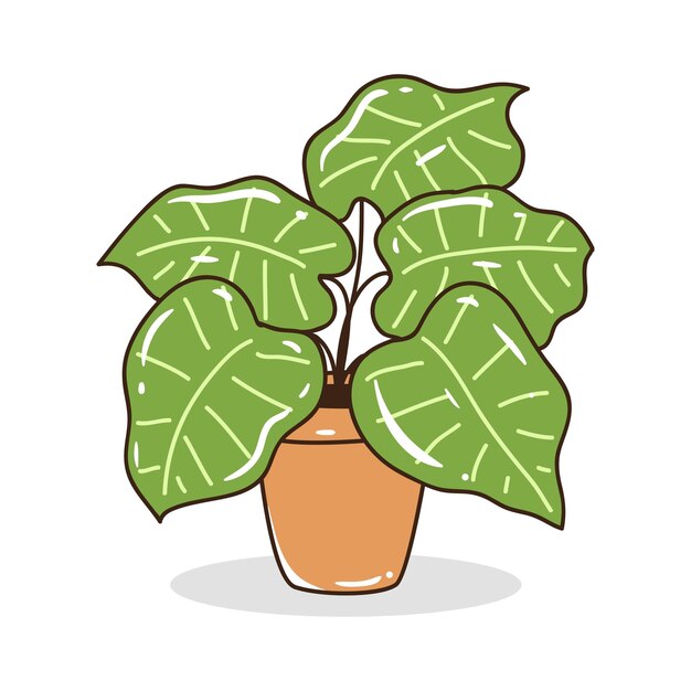 Houseplant element vector illustration