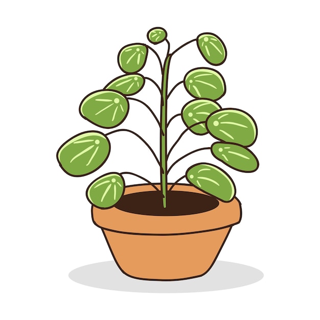 Houseplant element vector illustration