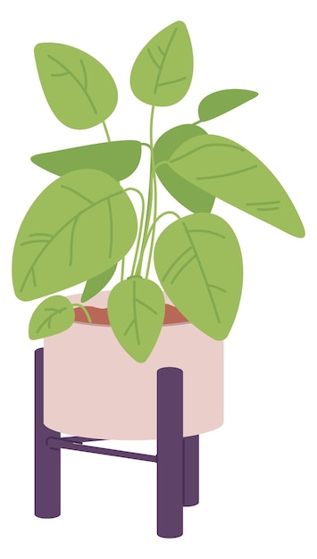 Houseplant 아이콘 장식 홈 녹지 흰색 배경에 고립 된 화분에 심은 식물학