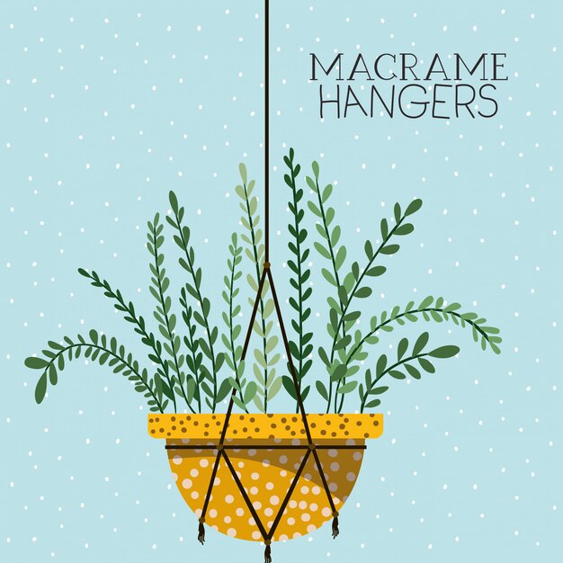 Vector houseplant in macrame hangers