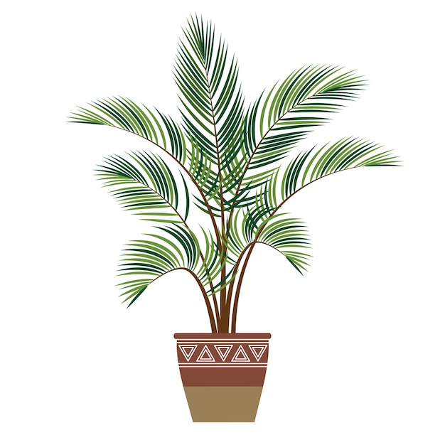 Houseplant palm tree