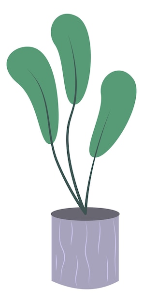 Комнатное растение в горшке Натуральное зеленое растение Оформление интерьера