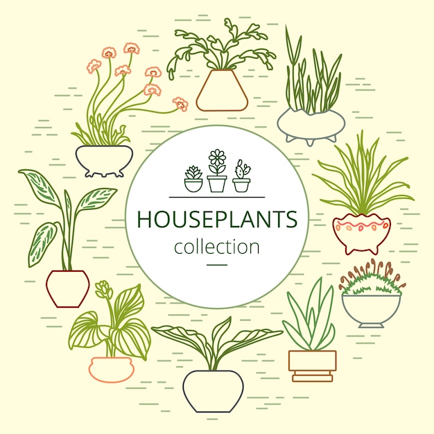 Vector houseplant set