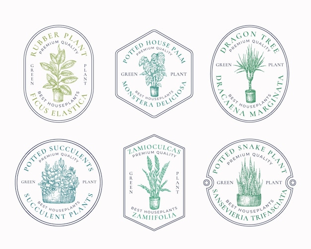 Vector houseplants badges or logo template