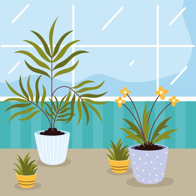 Vector houseplants care at home