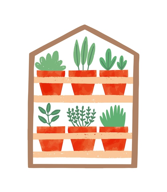 Vector houseplants in ceramic pots flat illustration.