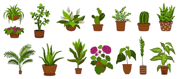 Houseplants 아이콘 설정 만화 벡터 화분