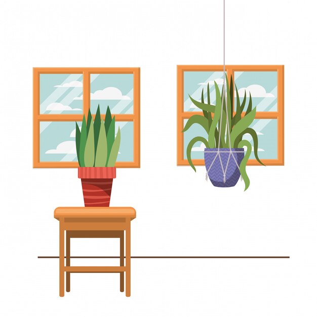 Houseplants on macrame hangers and table