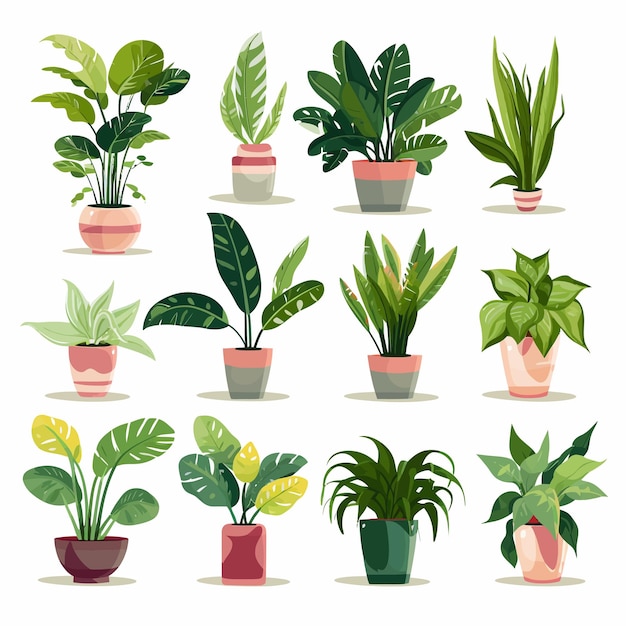 Houseplants_set_graphic_elements_in_flat_design