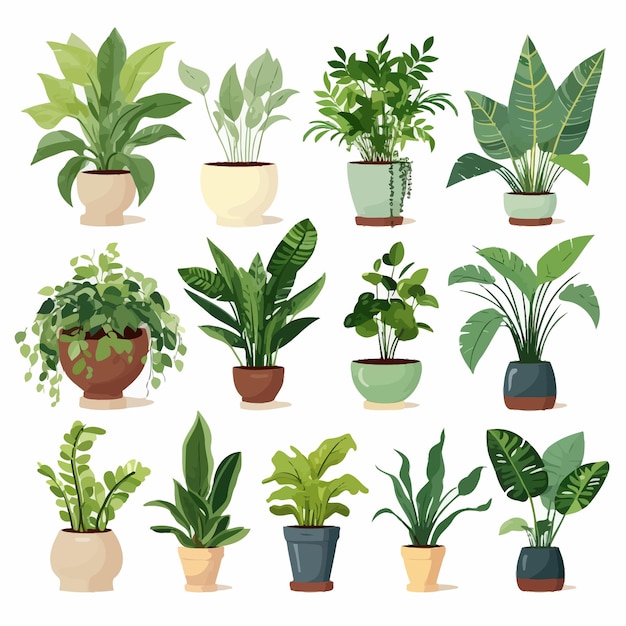 Houseplants_set_graphic_elements_in_flat_design