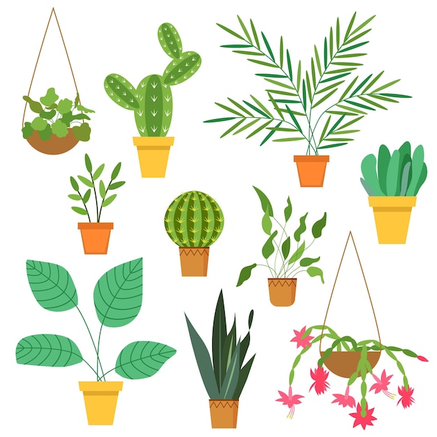 Houseplants set white background isolate vector illustration