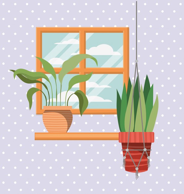 Houseplants in shelf with window scene