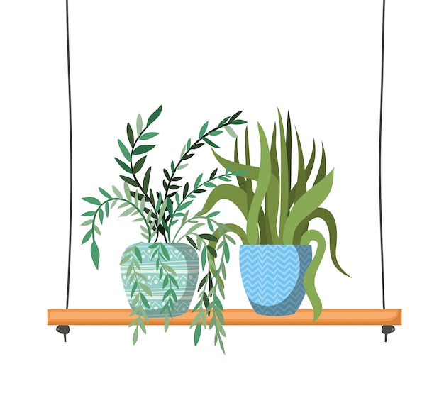 Houseplants with potted on shelf 