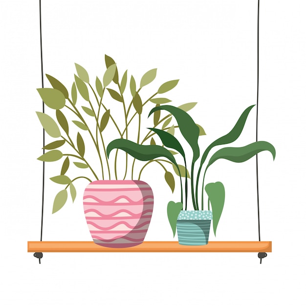 Houseplants with potted on shelf