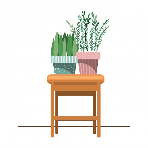 Houseplants with potted on the table