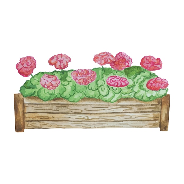 Vector houten kist met bloemen geranium in een pot tuin bloemen aquarel illustratie