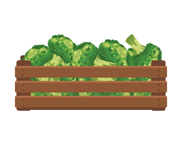 Houten kist met broccoli Gezonde voeding groenten landbouw illustratie vector