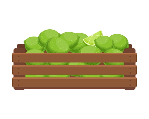 Houten kist met groene limoenen Gezonde voeding fruit landbouw illustratie vector