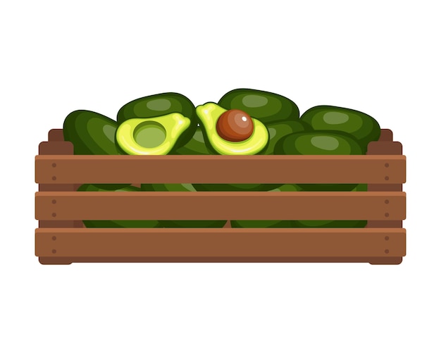 Houten kist met tropische avocado's Gezonde voeding fruit landbouw illustratie vector