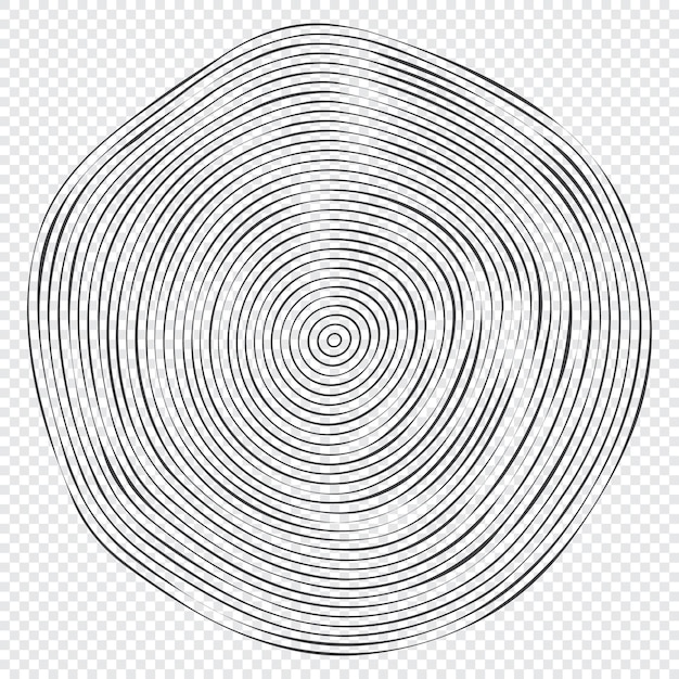 Houten topografie cirkels Hout organische snit lijnontwerp Lijn rimpel cirkel hout textuur boom snit