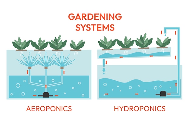 how the aquaponics and aeroponics systems works growing plants in the greenhouse laboratory