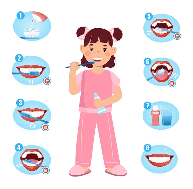 Vector how to brush your teeth correctly