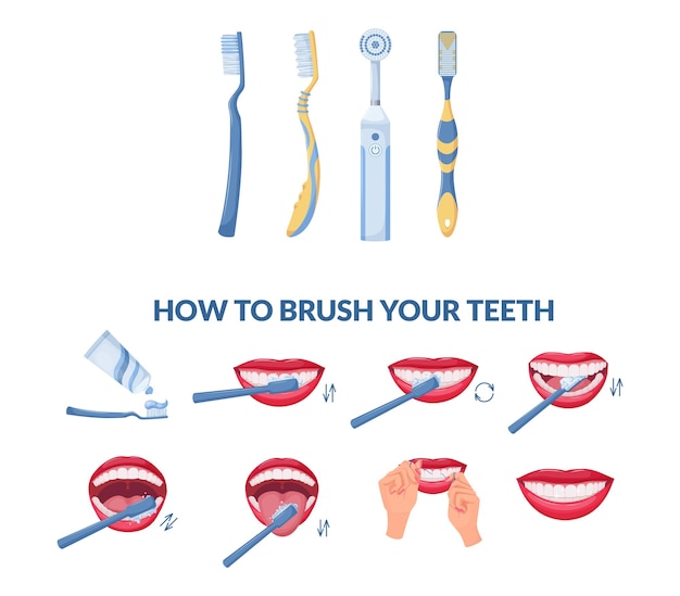 Vector how to brush your teeth step by step instruction correct tooth brushing with toothbrush