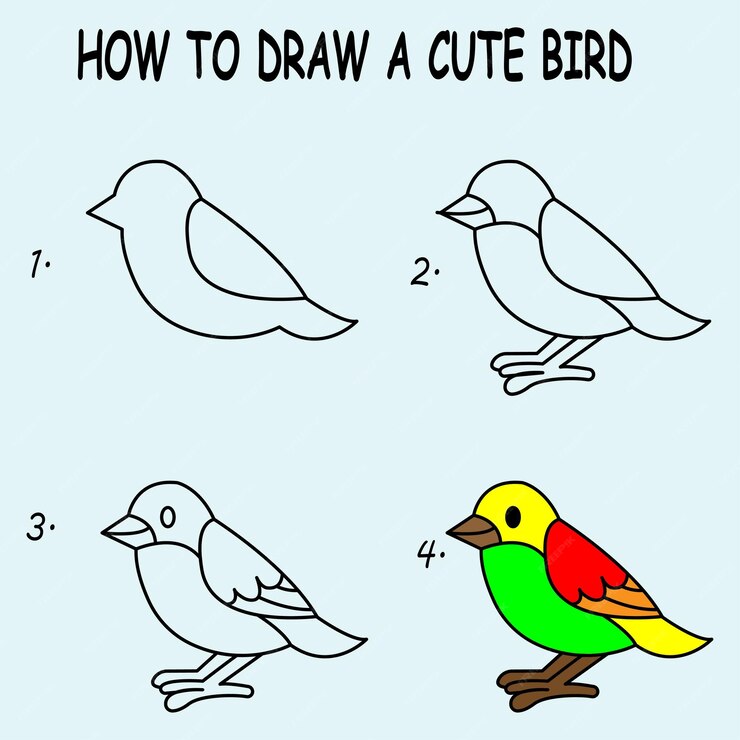 Premium Vector | How to draw a cute bird. good for drawing child kid ...