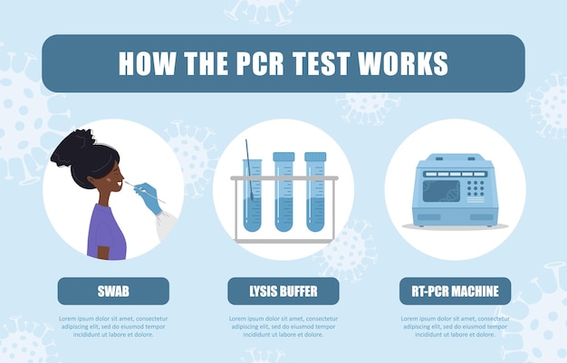Pcr 테스트 작동 방식. 생체 물질의 비강 면봉 실험실 분석.