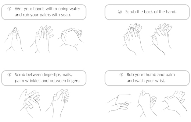 ベクトル 正しく手を洗う方法