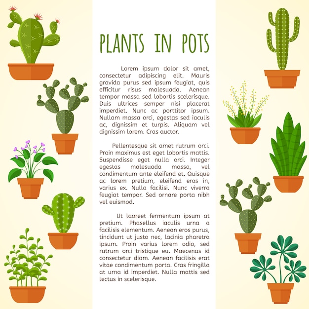 Huis plant en cactus brochure paginasjabloon.