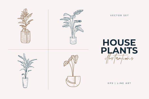 Huis planten geïsoleerd op een witte achtergrond verzameling kamerplanten in potten home decor
