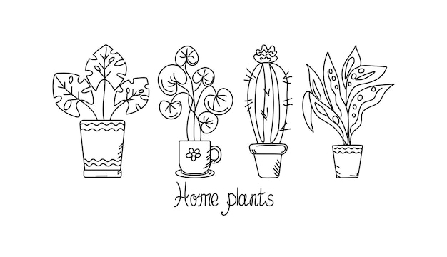 Vector huis potplant doodle tekening lineaire iconen bloemen cactussen bladeren handlettering zwart en