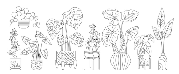 Huis potplant trendy decoratieve doodle schets set schets exotische kamerplanten bloempot interieur