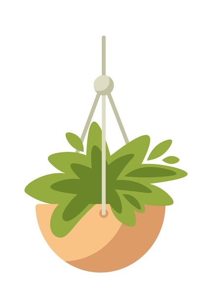 Huisplant in een hangende pot