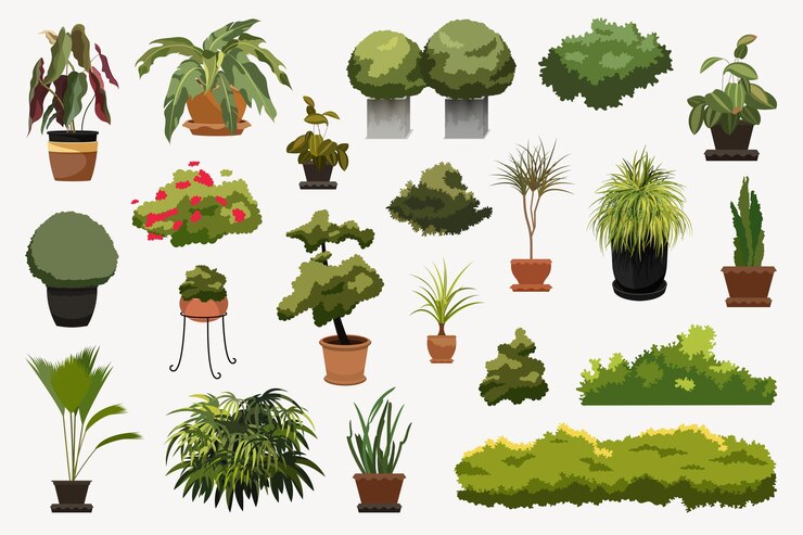 Huisplanten in een bloempot. Kamerplanten geïsoleerd. Plant Illustratie