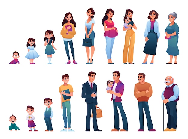 Human aging and growth male and female vector