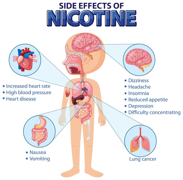 Диаграмма анатомии человека в мультяшном стиле побочных эффектов никотина